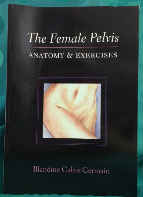The Female Pelvis - Anatomy & Exercise