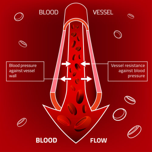 increase blood flow to the penis