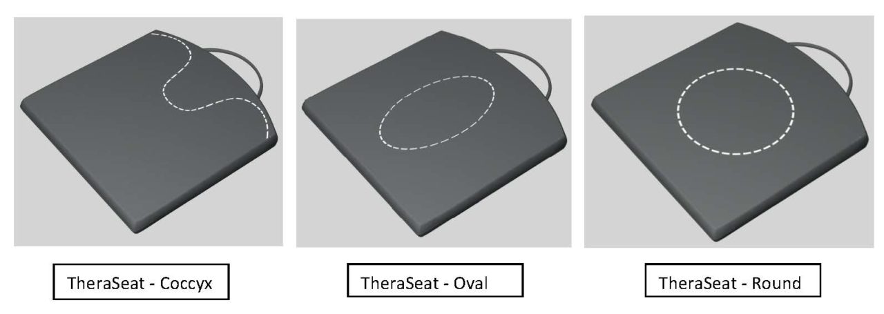 https://www.cmtmedical.com/wp-content/uploads/2019/06/Thera-Seat-Examples2-1280x455.jpg