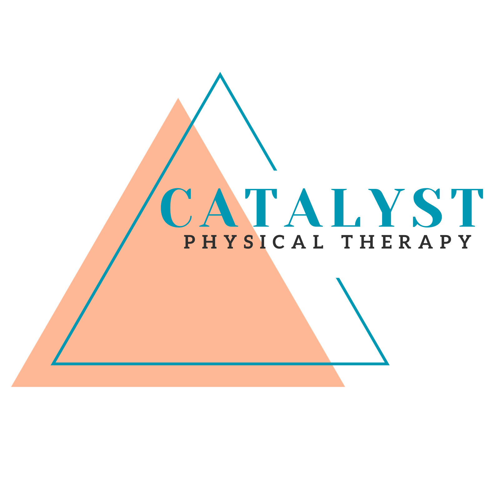 CatalystPhysicalTherapylogoclearbackground CMT Medical